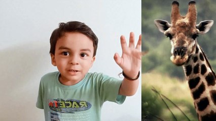 Learn animals name with small kid Start with simple ones like cat, dog, and cow.