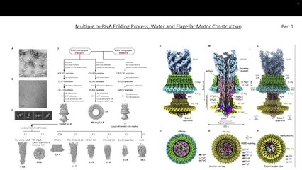Part 1:  Consciousness based Universe