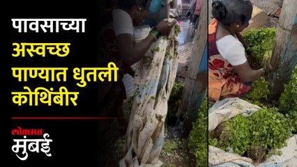 दादर स्थानकात चक्क पावसाच्या अस्वच्छ पाण्यात धुतली कोथिंबीर