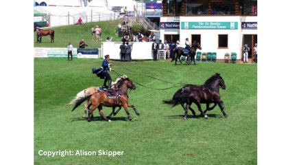 Picture This: Motion images!