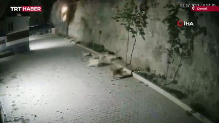 Kontrolden çıkan otomobil fabrika bahçesine düştü: 2 ölü