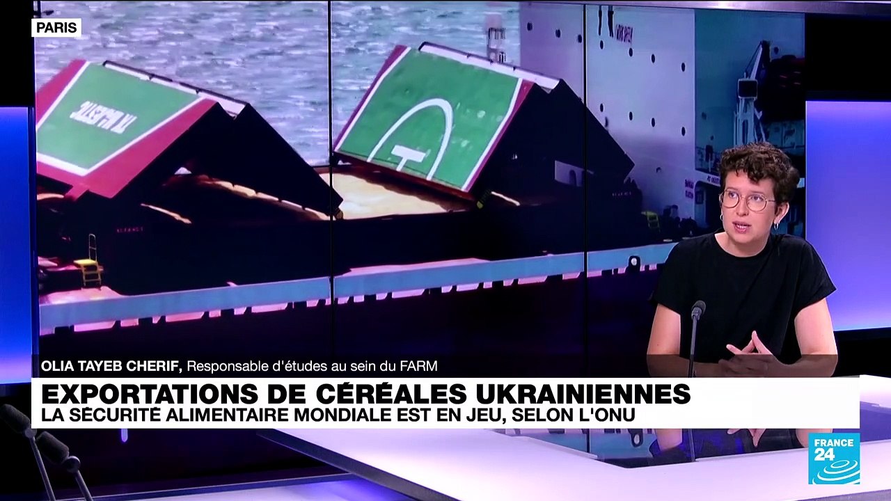 Exportations de céréales ukrainiennes : la sécurité alimentaire mondiale est en jeu selon l'ONU