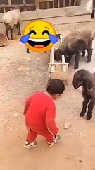 the end ----_funnybebyvideos  _shortsfunnybeby  _bebyfunnyvideos _funnybebyvideos  _leughingbebyfunny _bebyvideosfunny  _beby funny shorts _cutebeby _funny video  _fun with presad _funsqued _femityfunpack _fun videos