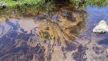 Sivas'ta nehre akan madde Fuel-oil çıktı