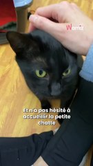 Kalia avait besoin d’une famille pour l’aider et lui offrir un foyer sûr 