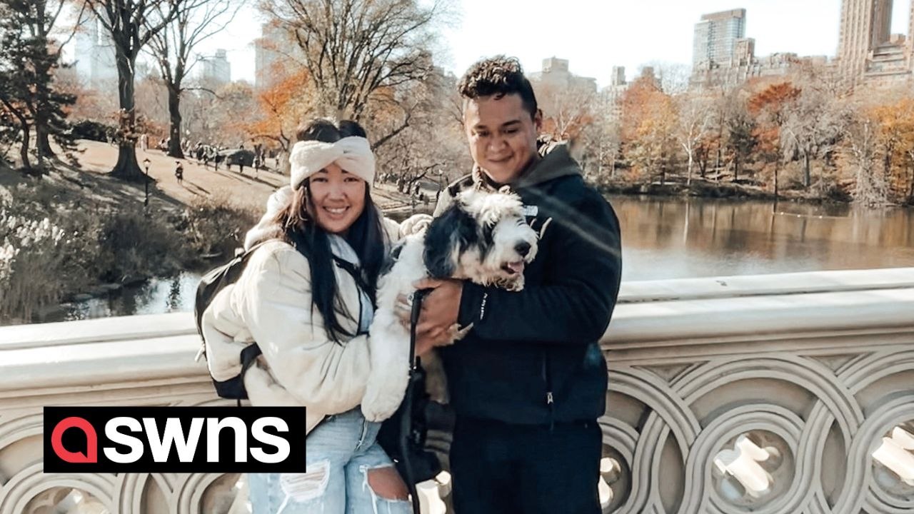 "My pampered pooch has his own bedroom and bathroom - and a seven-step grooming routine"