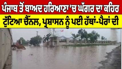 ਪੰਜਾਬ ਤੋਂ ਬਾਅਦ ਹਰਿਆਣਾ 'ਚ ਘੱਗਰ ਦਾ ਕਹਿਰ, ਟੁੱਟਿਆ ਚੈੱਨਲ, ਪ੍ਰਸ਼ਾਸਨ ਨੂੰ ਪਈ ਹੱਥਾਂ-ਪੈਰਾਂ ਦੀ |OneIndia Punjabi