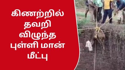வேலூர்: கிணற்றில் தவறி விழுந்த புள்ளி மான் மீட்பு!