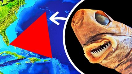 Perdus Dans Le Triangle Des Bermudes _ Histoires De L'inconnu