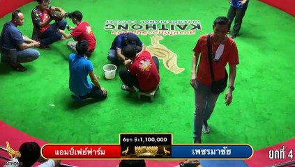 ยก 4 แอมป์เฟย์ฟาร์ม vs เพชรมาชัย ชิง 1,100,000 บาท