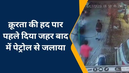गोरखपुर: बेजुबानों के साथ क्रूरता की सारी हदें पार, सीसीटीवी में कैद हुआ वीडियो