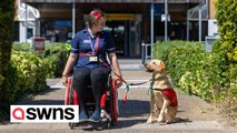 Nurse becomes first in the UK to use an assistance dog at work