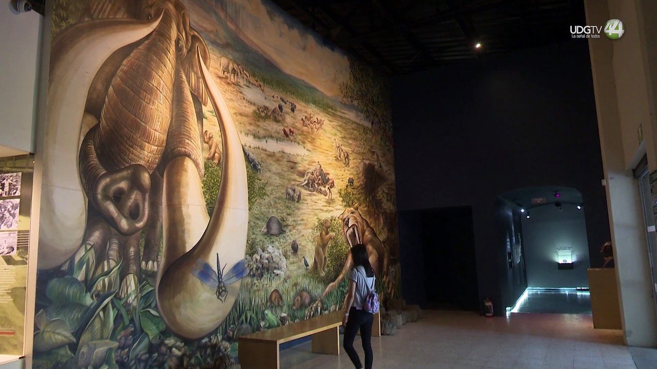 Iniciará el programa veraniego “Bichos y Carnívoros”, del Museo de Paleontología de Guadalajara.