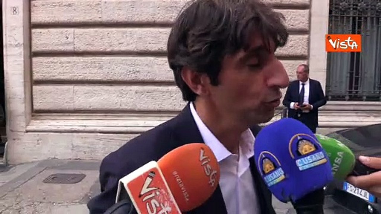 Salario minimo, Donzelli (FdI): "Rischia di far abbassare gli stipendi"