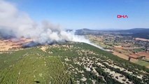 Muğla'da Tarım Arazisinde Çıkan Yangın Ormana Sıçradı