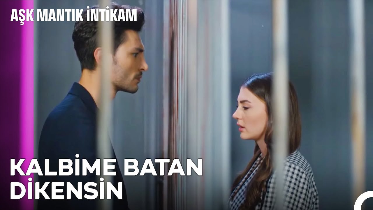 Benim Canım Neden Acıyor Peki - Aşk Mantık İntikam 14. Bölüm