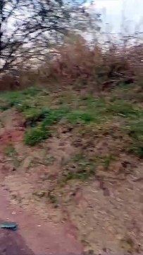 Acidente deixa 1 pessoa morta e outras 2 feridas na BR-373; um dos veículos partiu ao meio