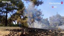 Gaziantep'in Nurdağı ilçesinde orman yangını çıktı