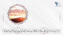 Surah Al Qasas Ayah 60-64 _ Quran Urdu Translation only