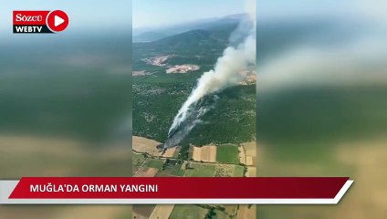 Muğla'da orman yangını