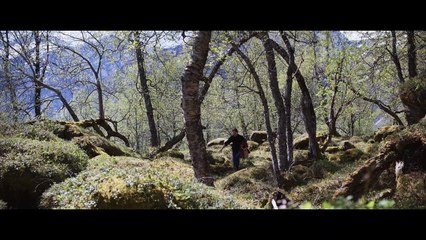 Más que nunca Trailer VOSE