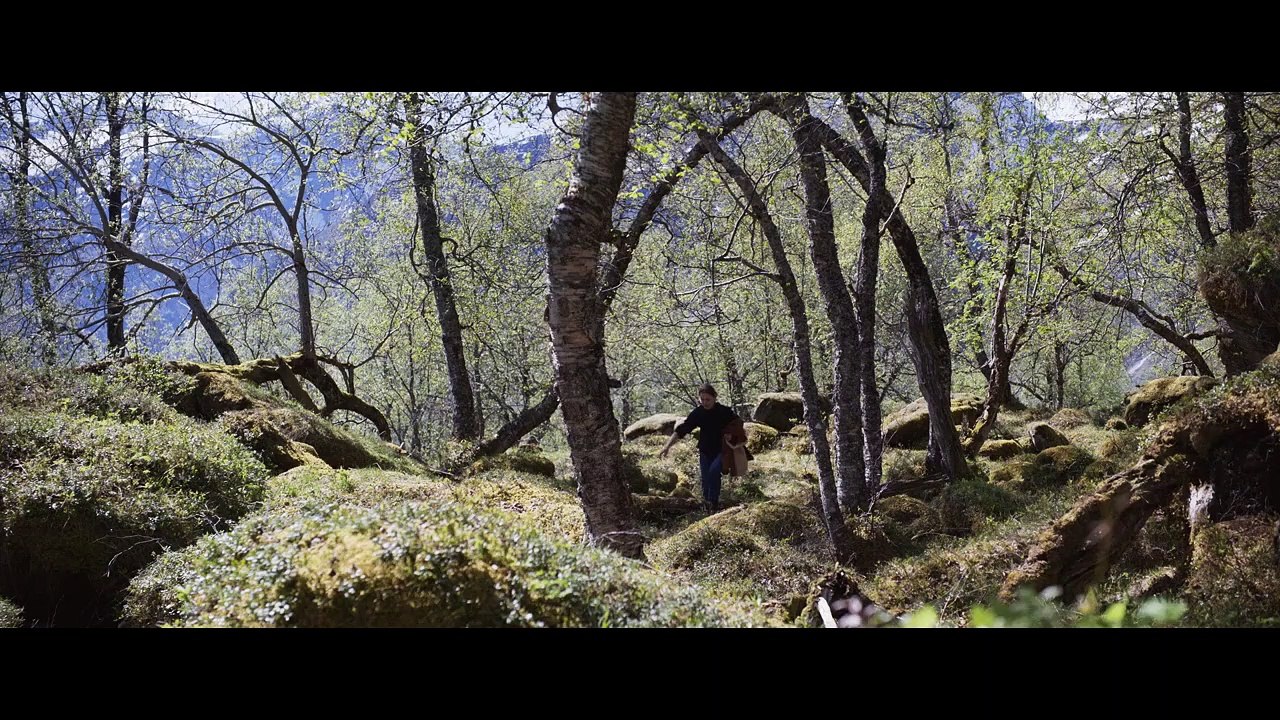 Más que nunca Trailer VOSE