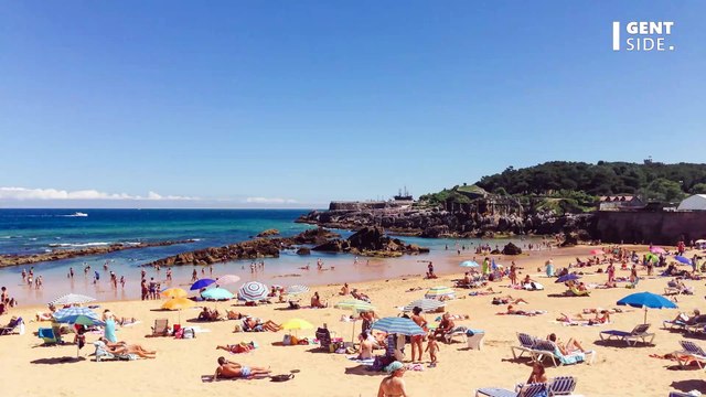 Deux requins sèment l’effroi chez les baigneurs sur une plage espagnole (VIDEO)
