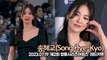 송혜교(Song Hye-Kyo), 여신이 걸어온다!! 빛이 나는 미모(‘제2회 청룡시리즈 어워즈’ 레드카펫) [TOP영상]