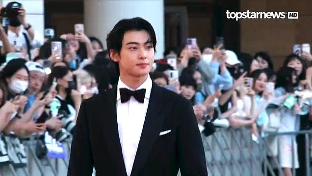 차은우(Cha Eun-Woo), 이런 미모로 살면 어떤 기분일까!!(‘제2회 청룡시리즈 어워즈’ 레드카펫) [TOP영상]