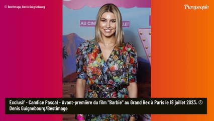 Barbie : EnjoyPhoenix pulpeuse à frou-frou et une Miss France tout sourire pour célébrer la poupée