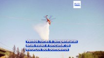 Incêndios florestais na Grécia não dão tréguas