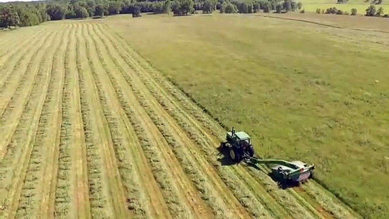 Farm