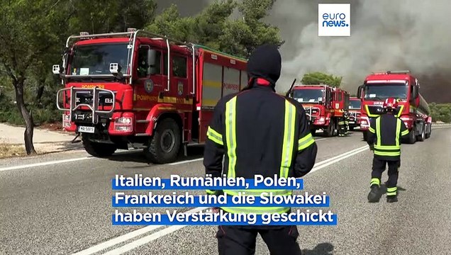 Hilferuf aus Athen: 220 Feuerwehrleute aus fünf EU-Staaten kämpfen gegen die Flammen