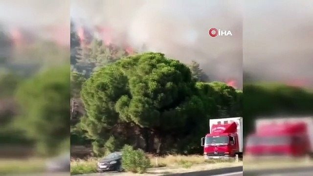 İzmir'deki orman yangını kontrol altında