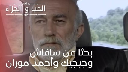 بحثا عن سافاش وجيجيك وأحمد موران| مسلسل الحب والجزاء  - الحلقة 22