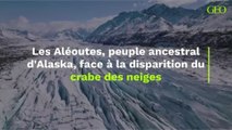 Les Aléoutes, peuple ancestral d'Alaska, face à la disparition du crabe des neiges