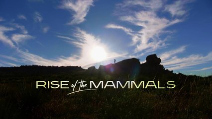 NOVA - Rise of the Mammals (2019)