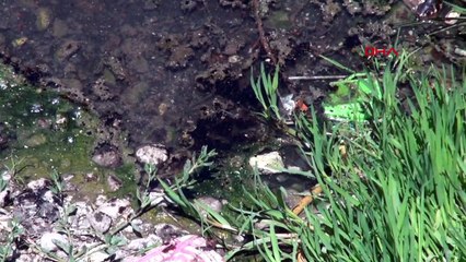 Kızılırmak Nehri'nde Yakıt Kirliliği