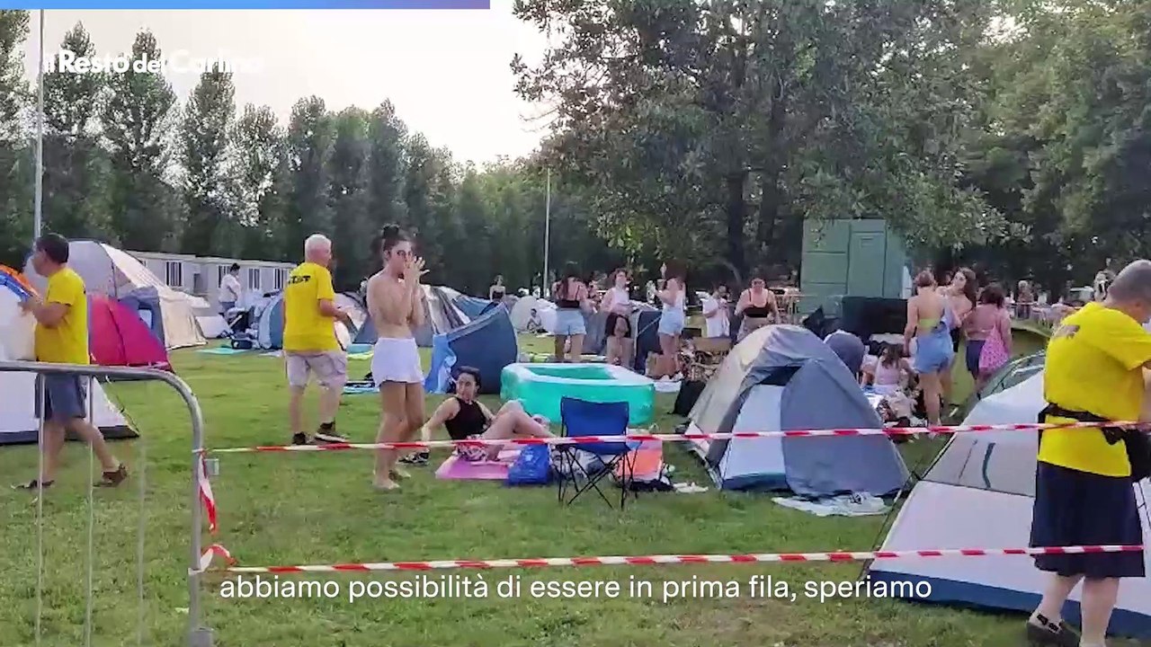 Concerto Harry Styles a Reggio Emilia, i fan accampati: "Felici di essere qua"