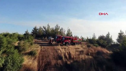 Gaziantep'te Orman Yangınına Havadan ve Karadan Müdahale Sürüyor