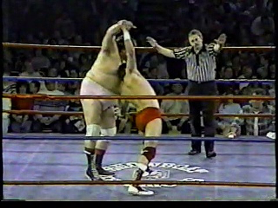 AWA Championship Wrestling 12/31/87 #3