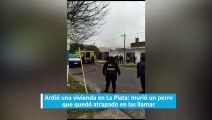 Ardió una vivienda en La Plata: murió un perro que quedó atrapado en las llamas