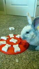 That’s Certainly One Way to Solve the Puzzle