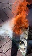 What Happens When Cottonwood Seed Buildup Is Set Ablaze