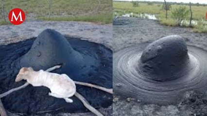 Fugas de petróleo en Altamira: Ayuntamiento sugiere exploraciones de Pemex como posible causa
