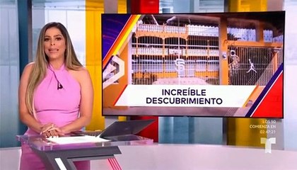 El Porvenir, el mini San Francisco montado a base del narcotráfico en EE. UU.