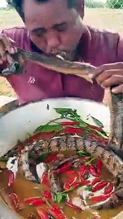 Snake  Soup 