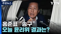 '폭우 골프' 홍준표 