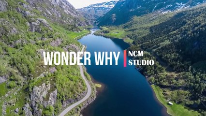 Wonder Why - TrackTribe   Reggae Music, Dramatic Music, Sad Music, Hope Music