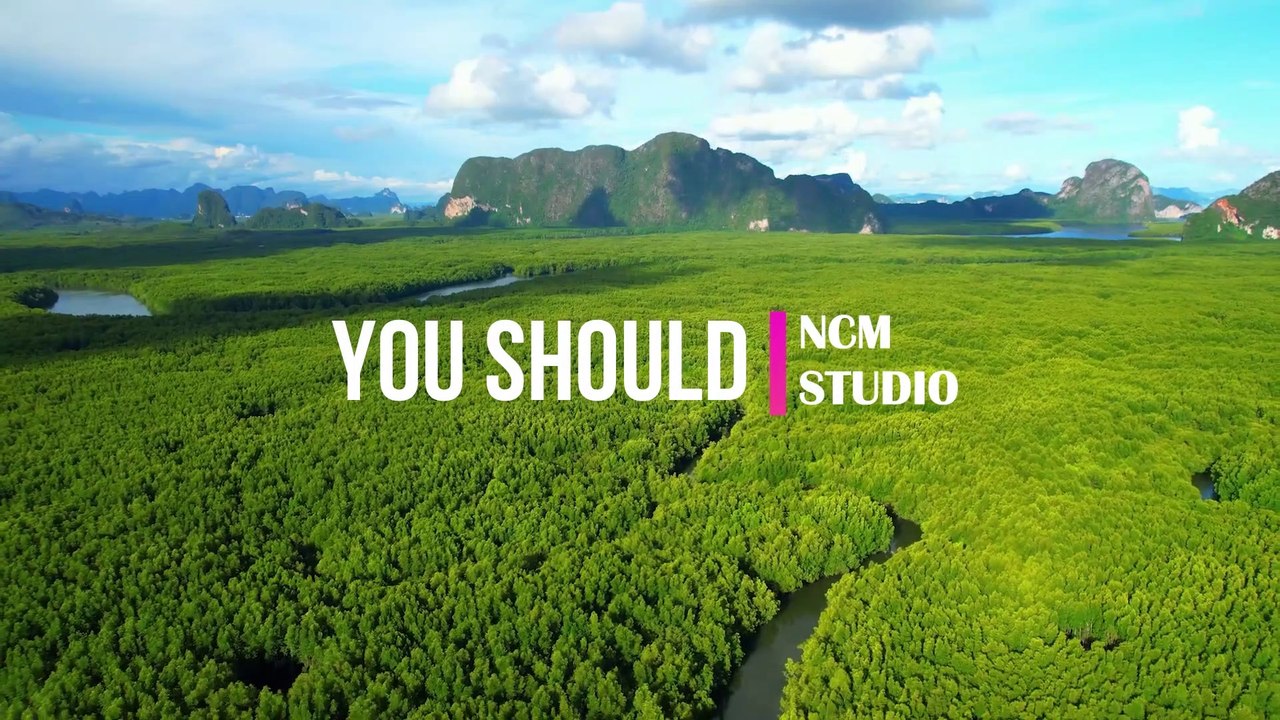 You Should - Patrick Patrikios  Pop Music, Funky Music, Travel Music, Positive Vibes Music